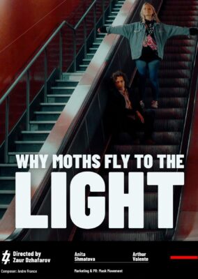 Why Moths Fly to the Light?