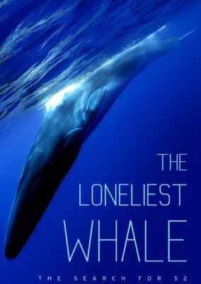 The Loneliest Whale: The Search for 52