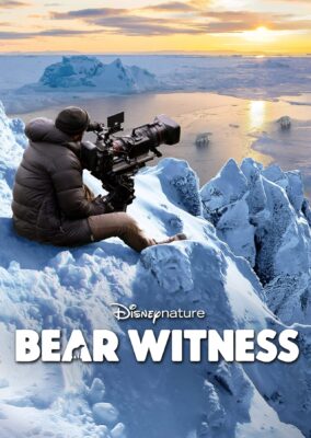 Bear Witness