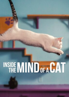 Inside the Mind of a Cat