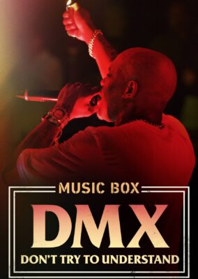 DMX: Don’t Try to Understand