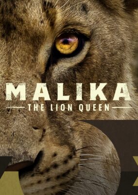 Malika the Lion Queen