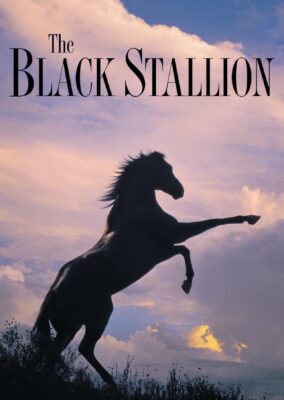 The Black Stallion