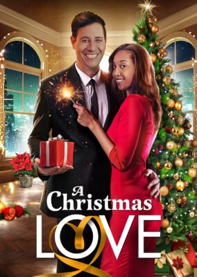 A Christmas Love