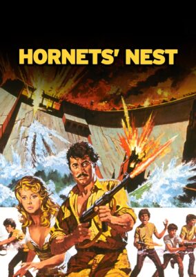 Hornets’ Nest
