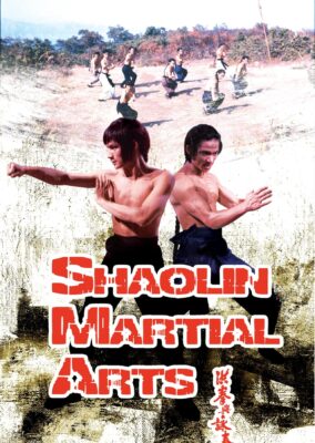 Shaolin Martial Arts