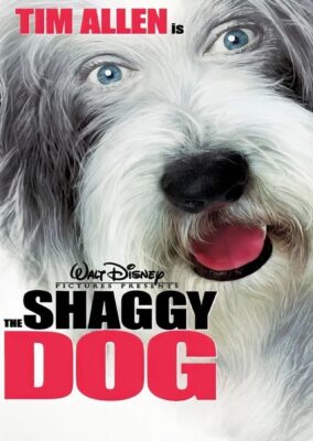 The Shaggy Dog