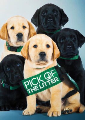 Pick of the Litter