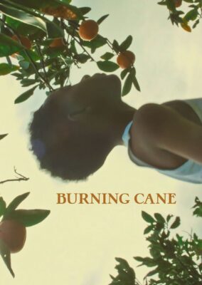 Burning Cane