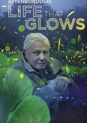 Attenborough’s Life That Glows