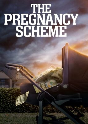 The Pregnancy Scheme