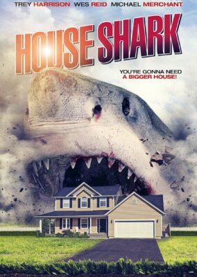 House Shark