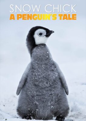 Snow Chick – A Penguin’s Tale