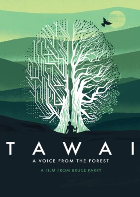 Tawai: A Voice from the Forest