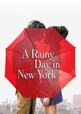 A Rainy Day in New York