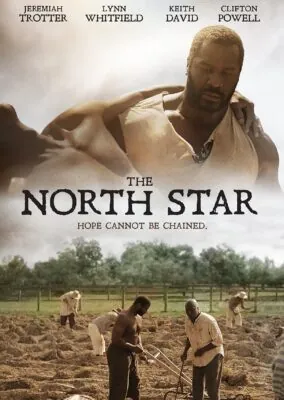 The North Star